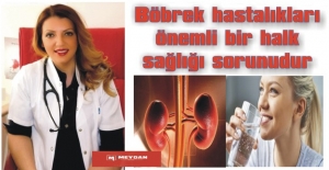 Böbrek hastalıkları önemli bir halk sağlığı sorunudur