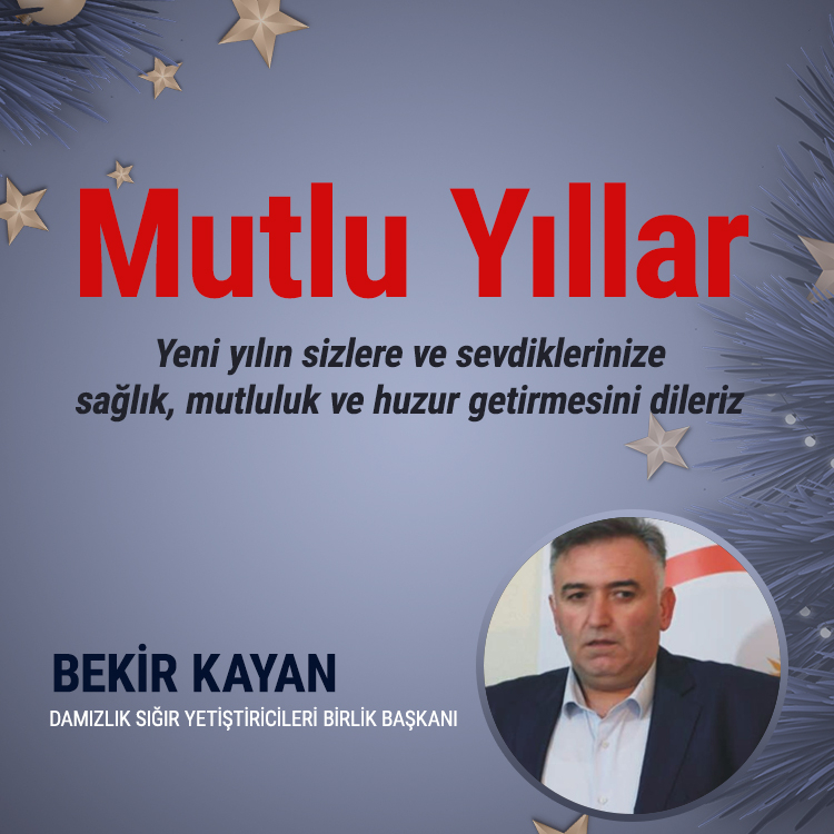 Yeni Yılınız Kutlu Olsun