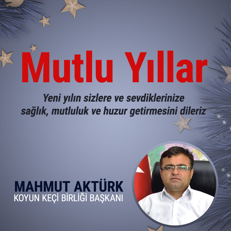 Yeni Yılınız Kutlu Olsun