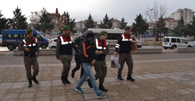 Jandarma'dan PKK'ya ağır darbe