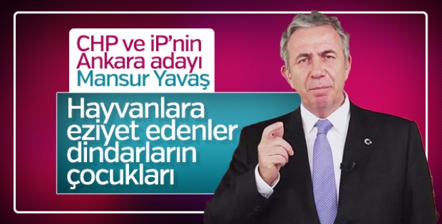 Mansur Yavaş: Hayvanlara dindar insanlar eziyet ediyor