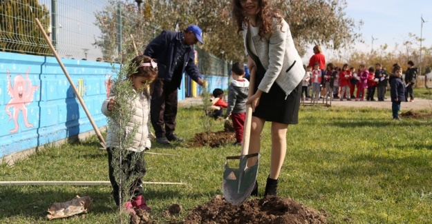 Öğrenciler ağaçlarıyla büyüyecekler