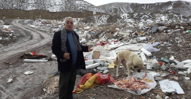 Sokak hayvanları için tek başına mücadele