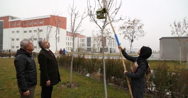 ASÜ&#039;de kuşlar için ağaçlara yuva yerleştirildi