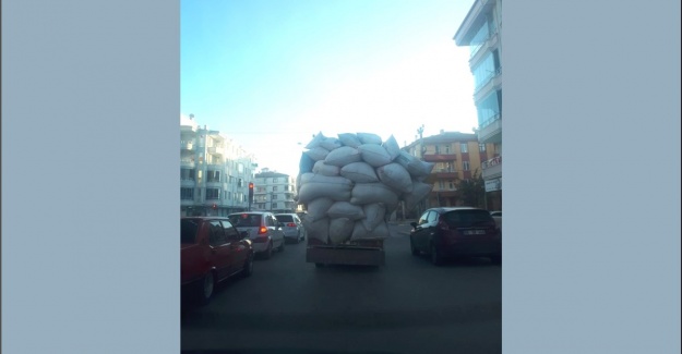 Hem de şehir merkezinde