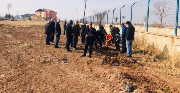 TELEKOM cular fidan dikti