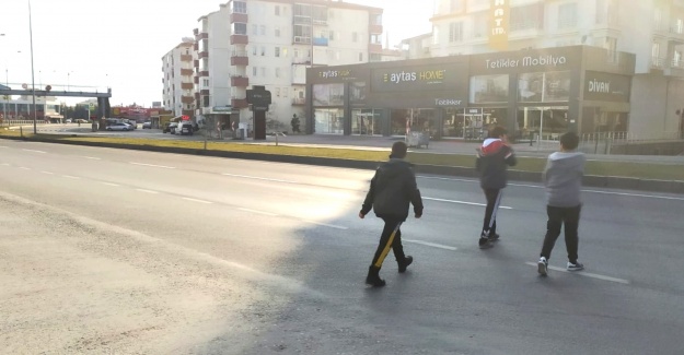 Canlarını hiçe sayıyorlar!
