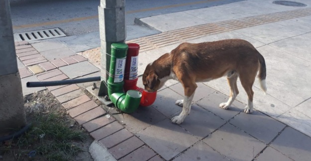 Kışı onlarla el ele geçirelim