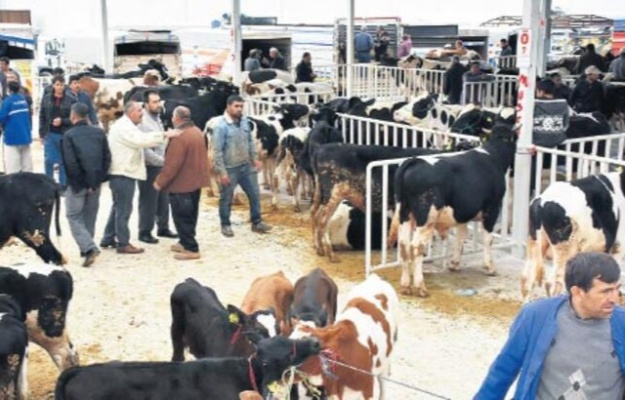 Bu kurallara uymayanlara para cezası!