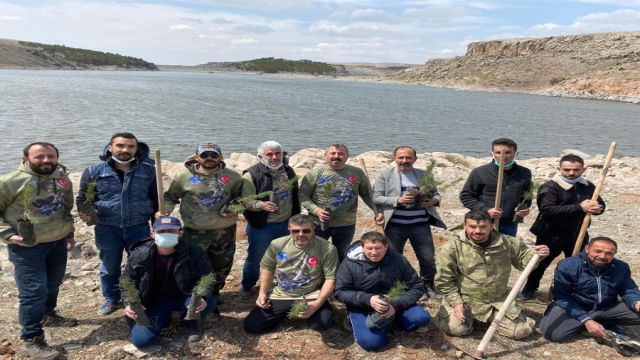 AKSOBDER’den Mamasın barajı çevresine çam fidanı