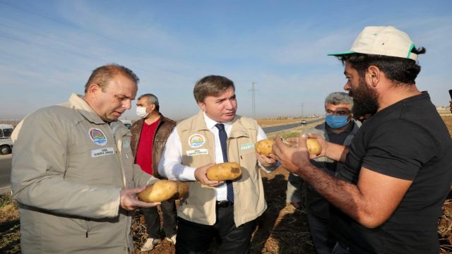 Aksaray’da patates hasadına başlandı