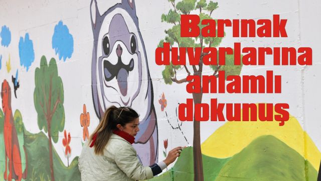 Barınak duvarlarına anlamlı dokunuş