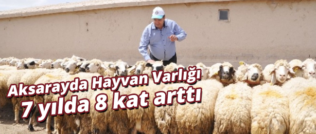 7 yılda 8 Kat Arttı