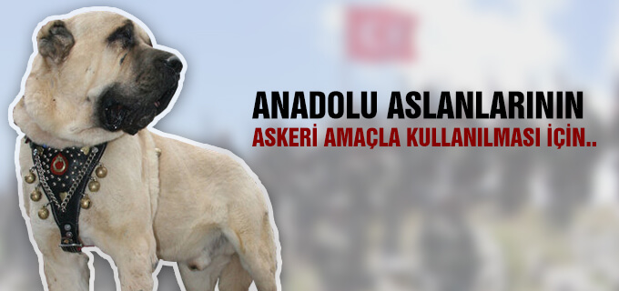 Aksaray Malaklısının Askeri amaçla kullanılması için..