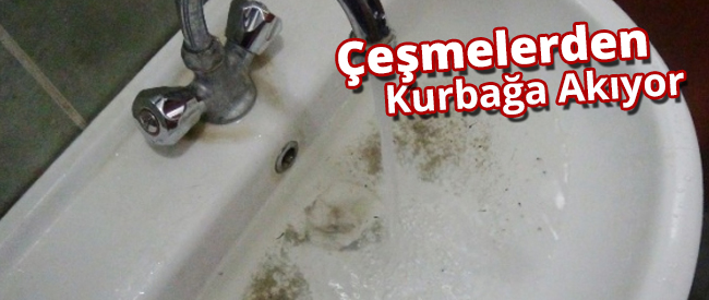 Çeşmelerden Kurbağa Akıyor