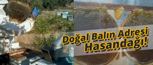 Doğal Balın Adresi Hasandağı