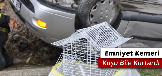 Emniyet kemeri kuşu bile kurtardı