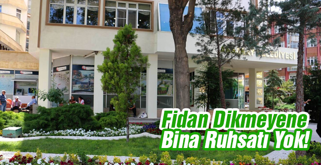 Fidan dikmeyene bina ruhsatı yok