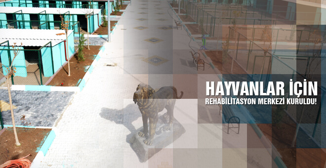 Hayvanlar için rehabilitasyon merkezi kuruldu