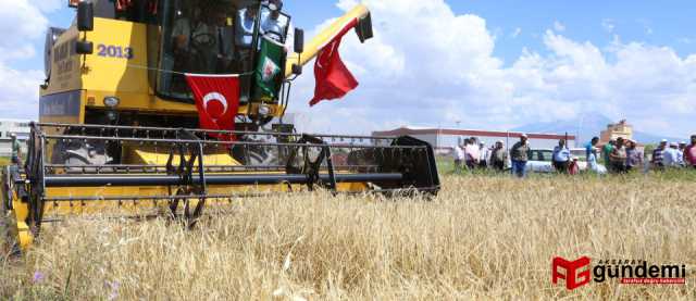 Aksaray&#39;da hasat bayramı