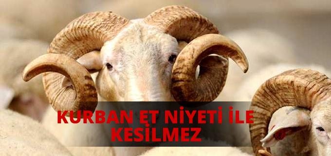 Et Niyeti İle Kurban Kesilmez