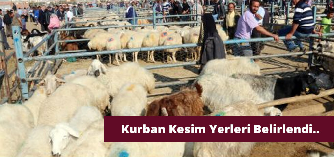 İşte Kurban Kesim Yerleri