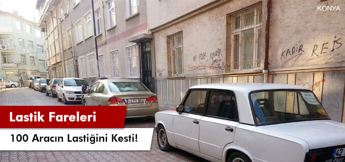 Lastik fareleri 100 aracın lastiğini kesti