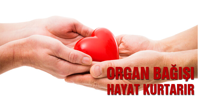 Organ bağışı hayat kurtarır