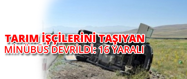 Tarım İşçilerini Taşıyan Minibüs Devrildi